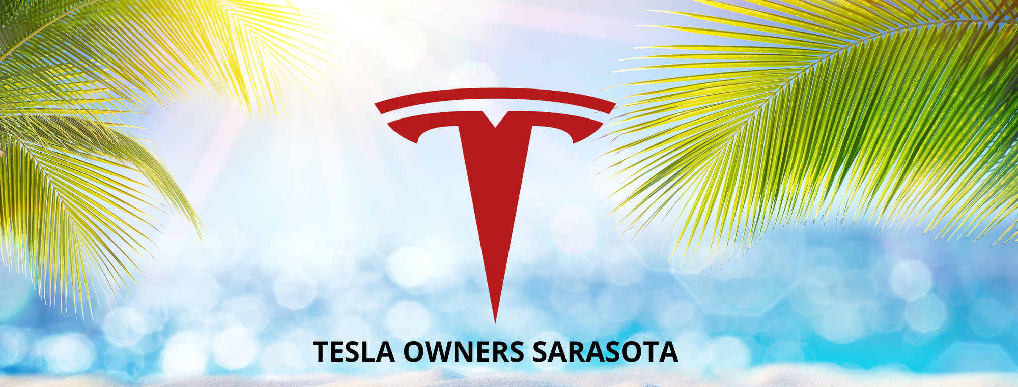 Tesla Owners Sarasota Facebook group banner, Tesla logo with palm fronds