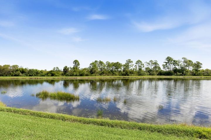 Pond view