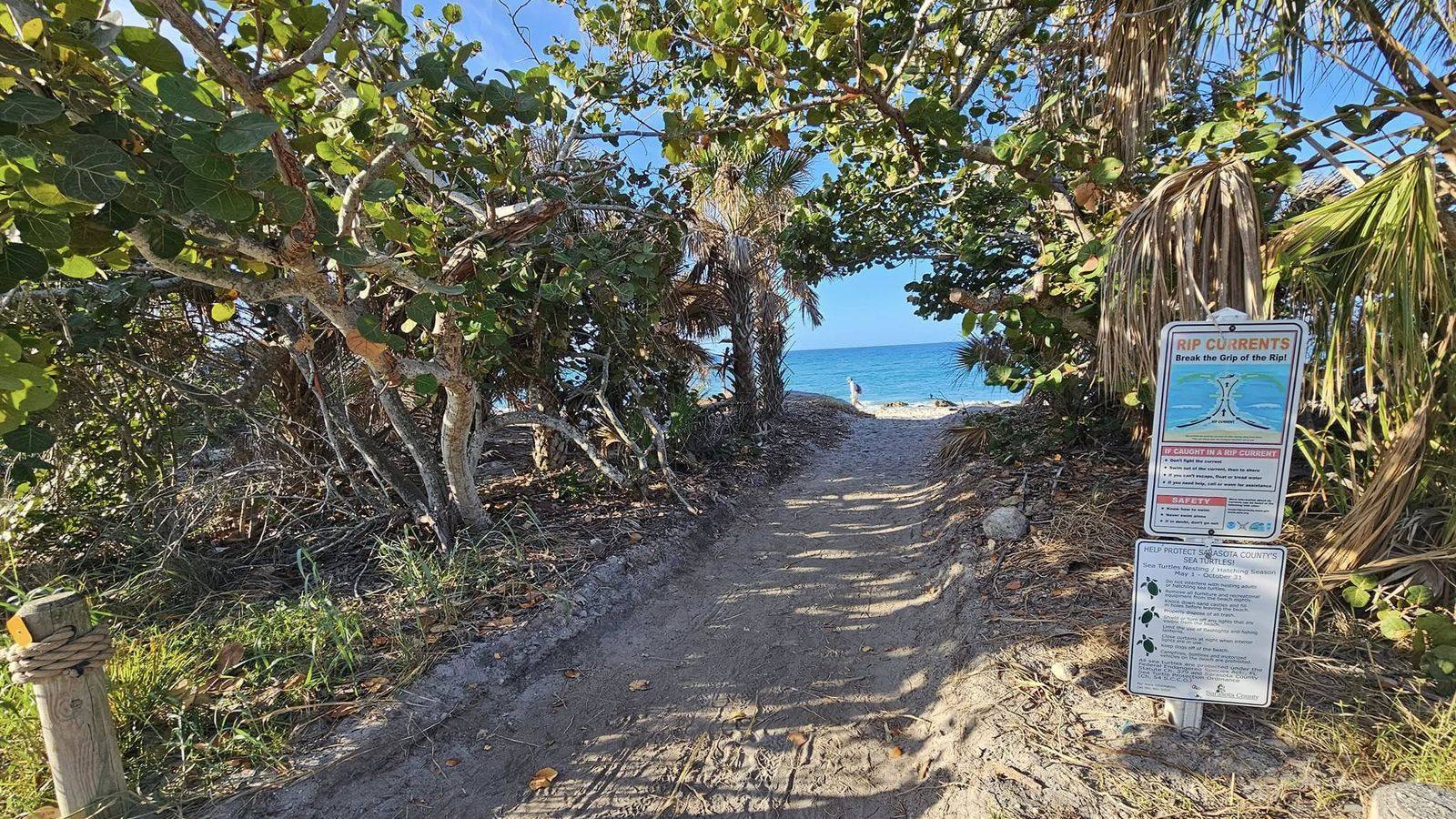 Sandy path through sea grape trees opening onto the Gulf of Mexico at Caspersen Beach in Venice, Florida
