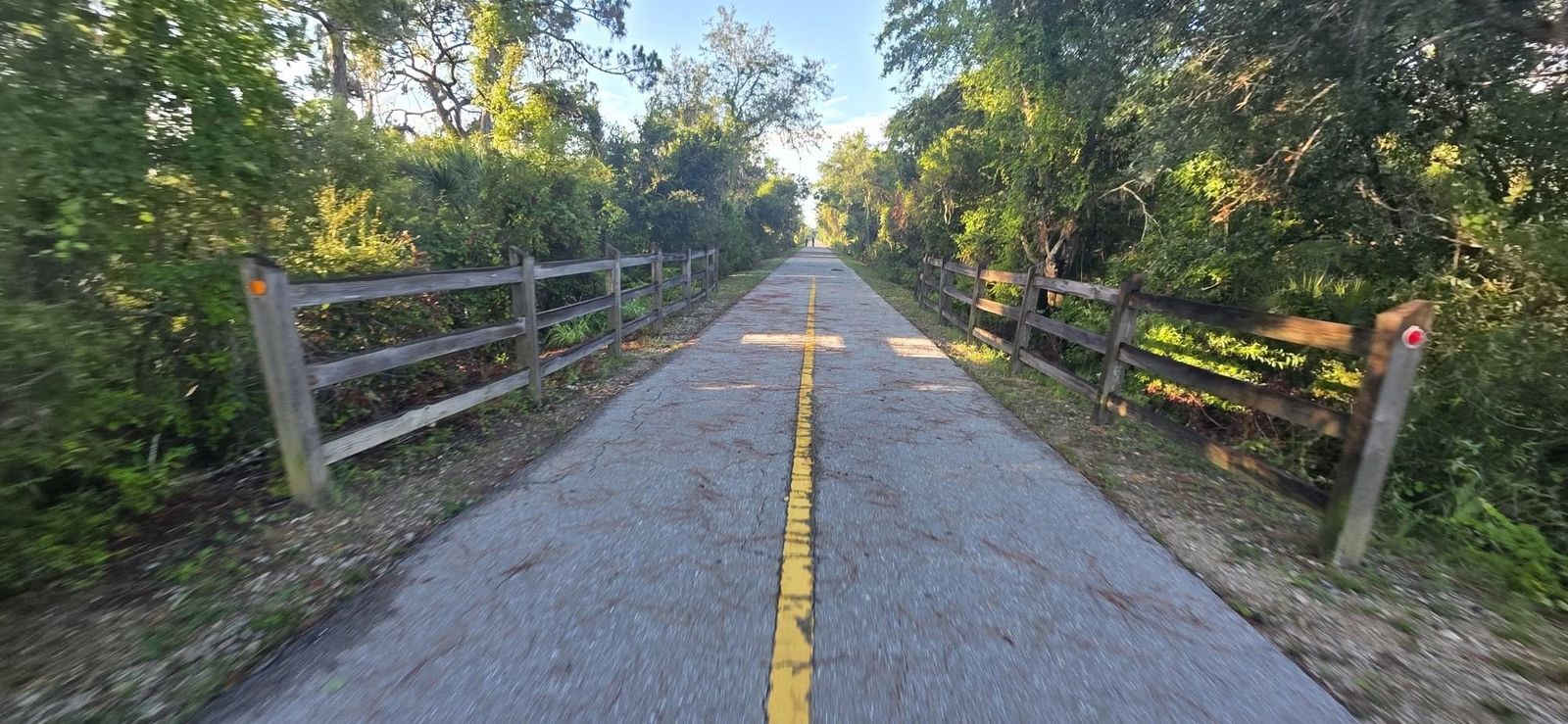 Paved Legacy Trail with a yellow center line and wooden rail fences through green Florida woods near Venice