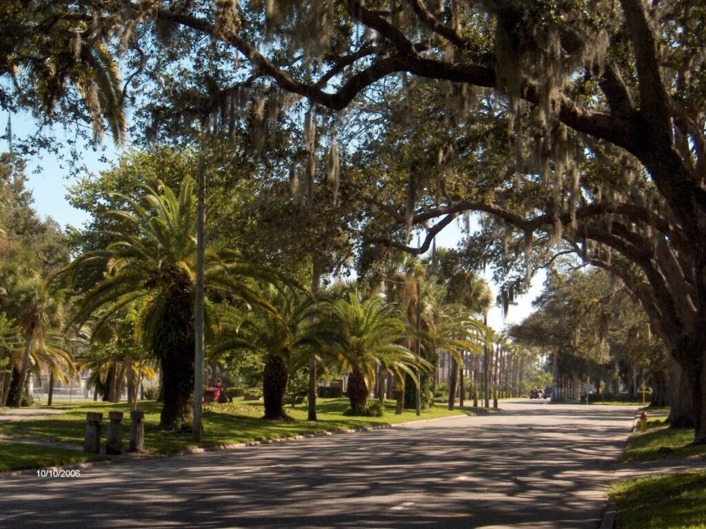 Palm-lined Venice Avenue between downtown Venice and the beach, reflecting the boulevard spirit of John Nolen Gulf-facing plan